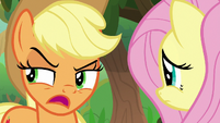 Applejack -none of 'em will tell us- S8E23