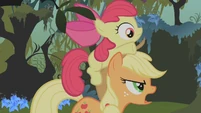 Applejack and Apple Bloom S01E09