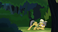 Daring Do sneaking around forest S4E04