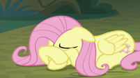 Fluttershy continues to cry S8E13