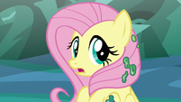 Fluttershy looking back at Discord S6E26