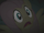 Fluttershy scared S01E02.png