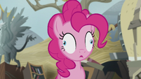 Pinkie has just gone full derp.