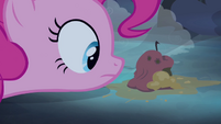 Pinkie Pie staring at rotten apple S4E07