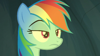 Rainbow Dash looking uninterested S7E16