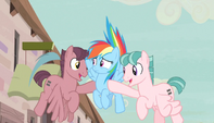Red and pink stallions pull Rainbow to the ground S5E1