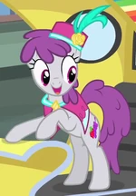 Silver Berry ID S4E8