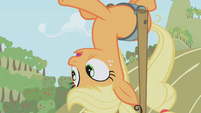 Applejack on her apple cart.