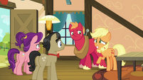 Applejack rejoins Big Mac, Filthy, and Spoiled S6E23