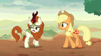 Autumn Blaze -that vow of silence- S8E23