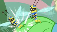 Flash bees stinging Meadowbrook's flank S7E20