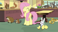 Fluttershy "you'll have all your ducks in a row!" S7E5