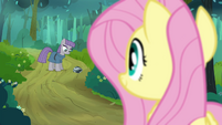 Fluttershy looking at Maud S4E18