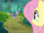 Fluttershy looking at Maud S4E18.png