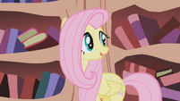 Fluttershy looks behind her S1E03