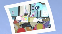 Fluttershy hiding behind Photo Finish.
