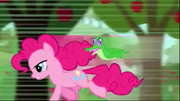 Pinkie Flash