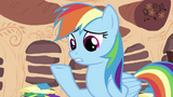 Rainbow Dash with hoof up S2E21