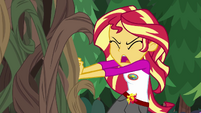 Sunset Shimmer trying to move the brambles EG4