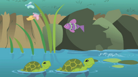 Turtles swimming in a stream S1E11