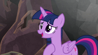 Twilight -I couldn't have done it- S8E26