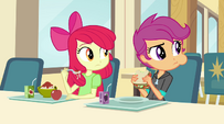 Apple Bloom and Scootaloo look at the Dazzlings EG2