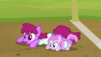 Berryshine and Piña Colada finishing the race S2E5