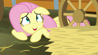 Fluttershy "a few pieces of hay" S5E21