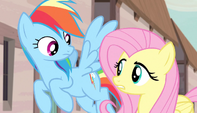 Fluttershy ''no seas grosera'' EMC-P1