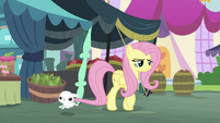 Fluttershy and Angel go in separate directions S9E18