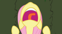 Fluttershy screams S2E01