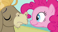 Pinkie Pie Expecting A Smile S02E18