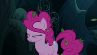 Pinkie shakes leaves and twigs out of her mane S7E19