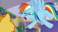 Rainbow Dash "quit judging me!" S8E5