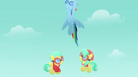 Rainbow Dash zooms up into the sky MLPRR