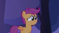 Scootaloo 'aren't that many trees around here!' S3E06