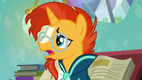 Sunburst --it's been so long-- S6E2