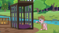 Wrangler presenting her pillowed cages S7E5