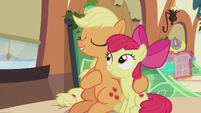 Applejack "the warmth shared on that fateful night" S5E20