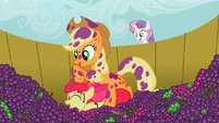 Applejack gives Apple Bloom a grape juice bath