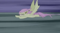 Flutterbat flying away S4E07.png (219 KB) Flutterbat flying away S4E07