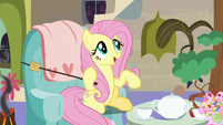 Fluttershy "how about we try some of those" S7E12