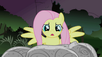Fluttershy looks at Twilight's rock solid body S1E17