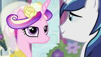 Princess Cadance with Shining Armor S2E26