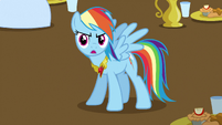 Rainbow Dash Knows What's Up 3 S3E10