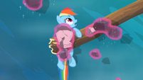 Rainbow Dash sees pieces of the dam being levitated S2E08