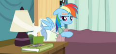 Rainbow looking at book S2E16