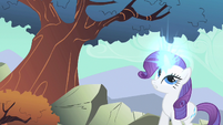 Rarity in the trees S1E19