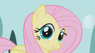 S01E03 Uśmiechnięta Fluttershy