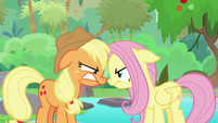 AJ and Fluttershy mad at each other again S8E23